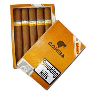 Cohiba - Siglo VI VSLB (Box of 10)