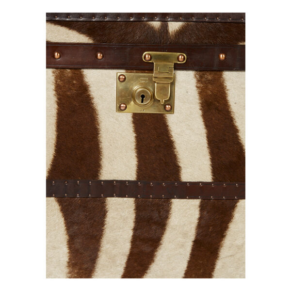Large Zebra Print Trunk - Image 6