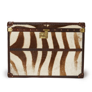 Large Zebra Print Trunk