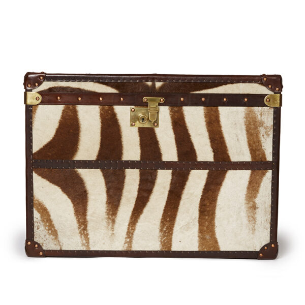 Large Zebra Print Trunk