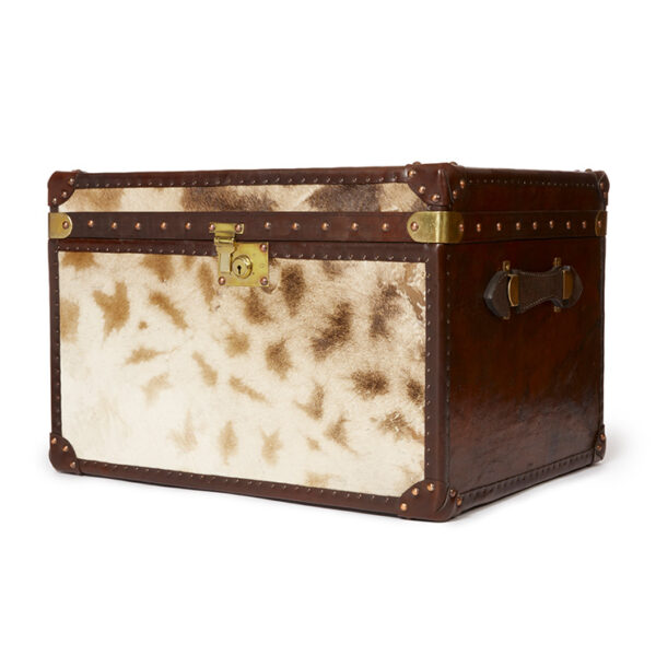 Small Animal Print Trunk - Image 2