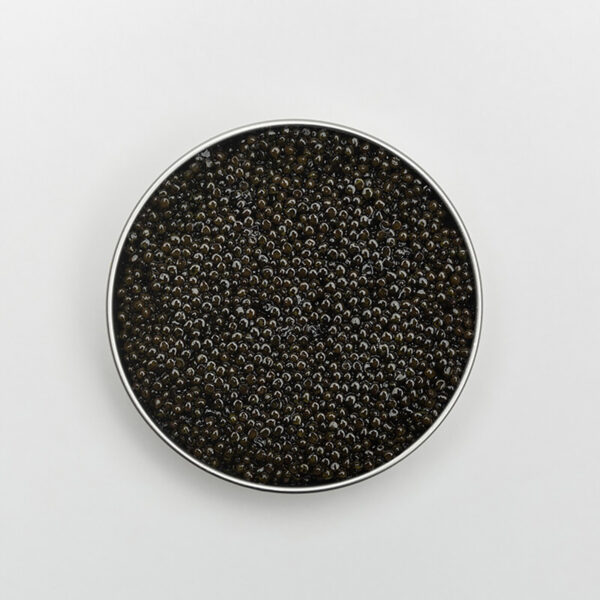 Monarch - Alexandrite Caviar