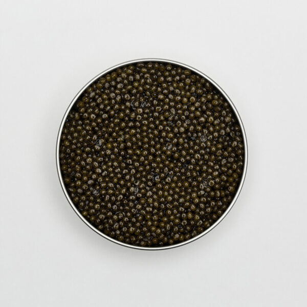 Monarch - Emerald Caviar