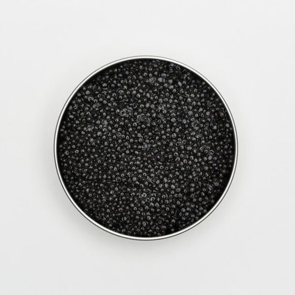 Monarch - Ruby Caviar