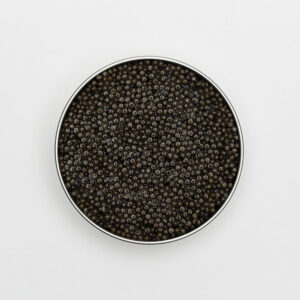 Monarch - Sapphire Caviar