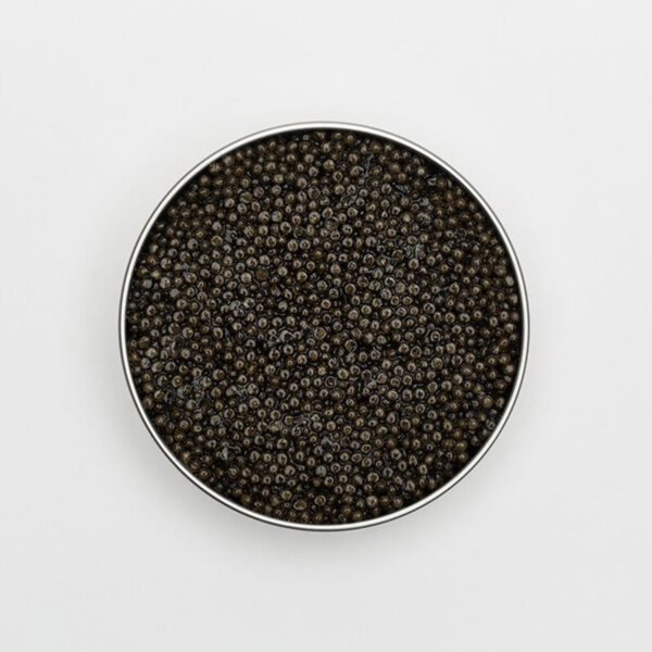 Monarch - Sapphire Caviar
